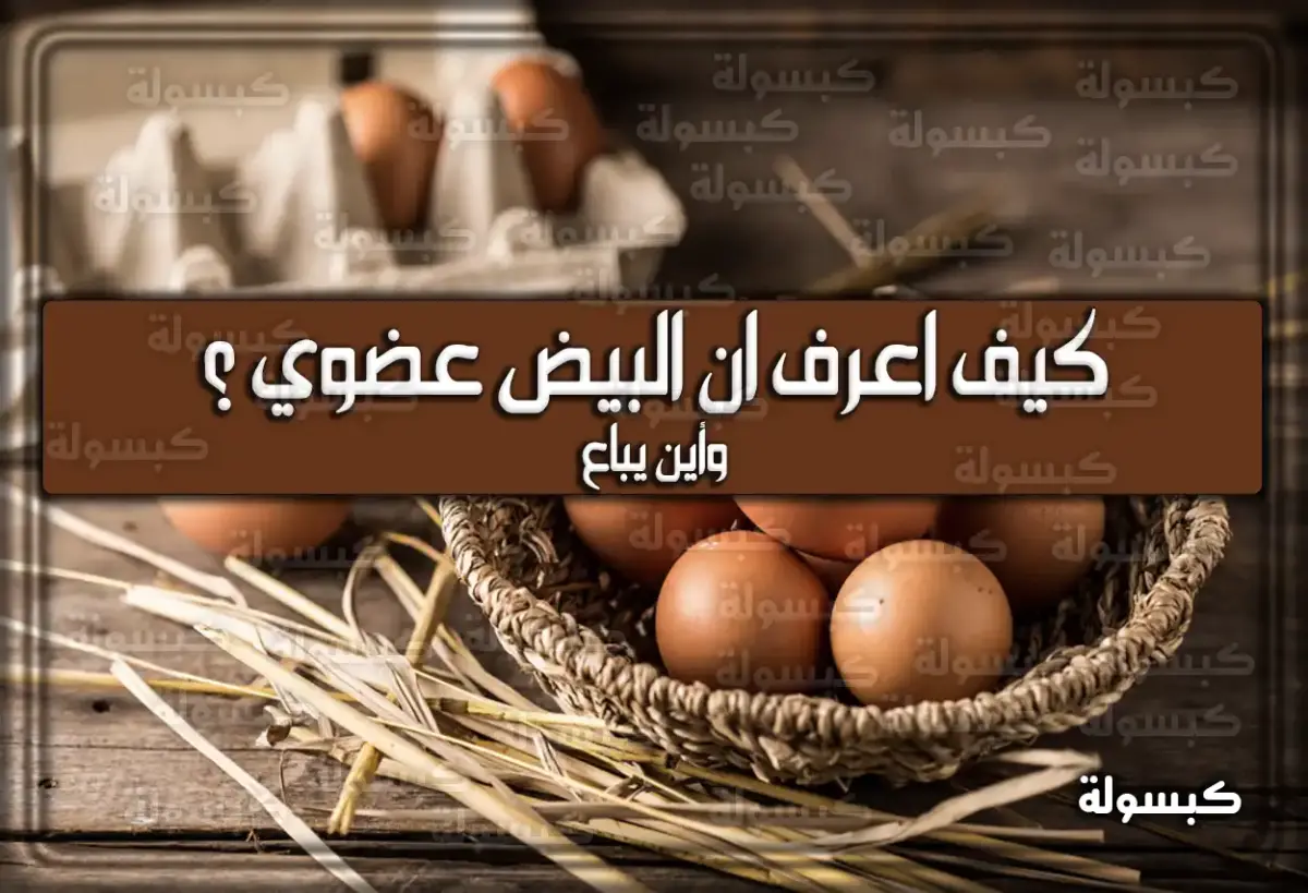 كيف أعرف ان البيض عضوي .. وأين يباع